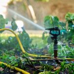 Smart Sprinkler System Installation: Water Conservation Guide for Automated Lawn Care