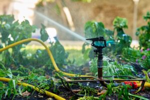 Smart Sprinkler System Installation: Water Conservation Guide for Automated Lawn Care