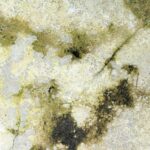 Why Does My Air Conditioner Smell Musty? 6 Causes and DIY Cleaning Methods