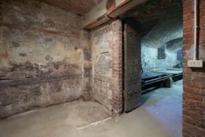 Why is My Basement Always Damp? Waterproofing Solutions to Prevent Mold Growth