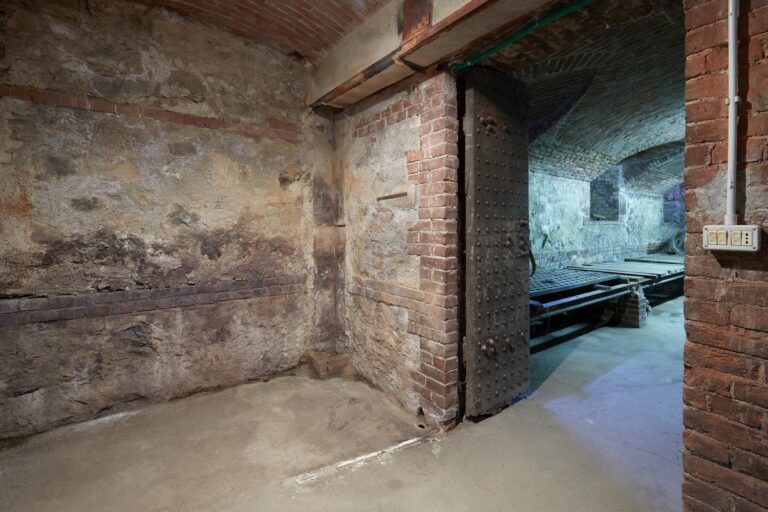 Why is My Basement Always Damp? Waterproofing Solutions to Prevent Mold Growth