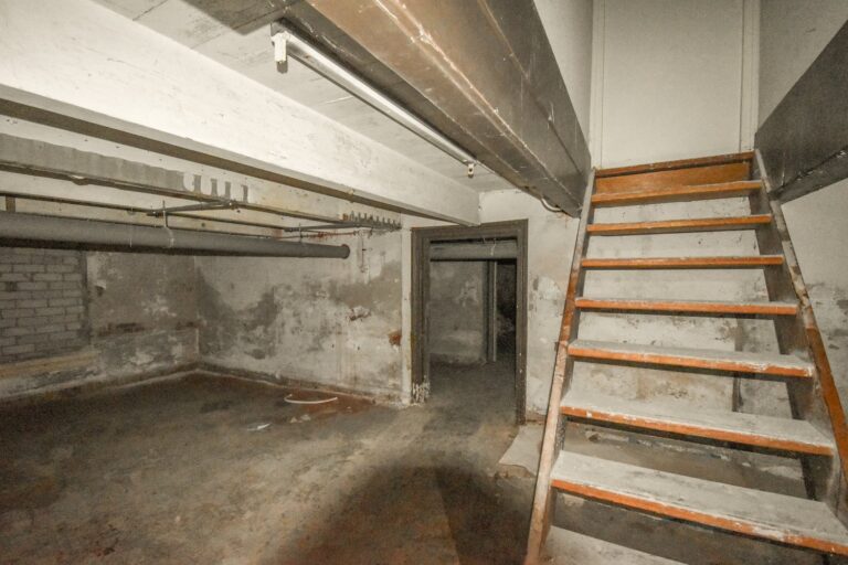 Why Is My Basement Flooding? Emergency Steps and Prevention Guide