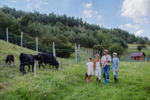 Electric Fence Installation: Livestock and Garden Protection Wiring